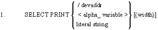 selectprint.gif